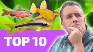 Top 10 EASY Fish That Every BEGINNER Needs [upl. by Aicelaf]