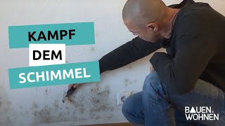 Kampf dem Schimmel  So werden Sie ihn los  BAUEN amp WOHNEN [upl. by Menzies240]