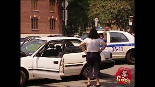 Best Police Pranks Vol 2  Best of Just For Laughs Gags [upl. by Naltiak]