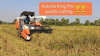 Kubota king pro new modelPaddy cutting at field🤩🤩 [upl. by Ilka272]