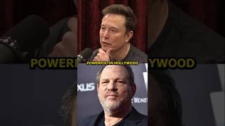 Elon Musk Explains Why Hollywood Celebrities Are Endorsing Kamala [upl. by Aneehsal]