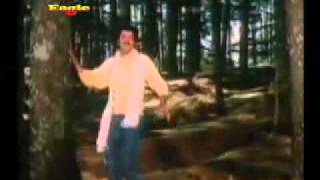 Pyar Kiya Hai Pyar Karenge Title song 1986 Shabbir Kumar and Kavita krishnamurthy [upl. by Alenairam]