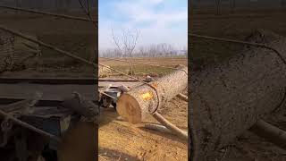 Clever loading process of timber logs [upl. by Neillij478]