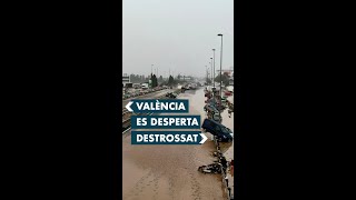 València es desperta destrossat [upl. by Ahker]