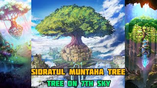 Sidratul muntaha kya hai  sidratul muntaha tree explained  story of sidratul muntaha [upl. by Nnylamme187]