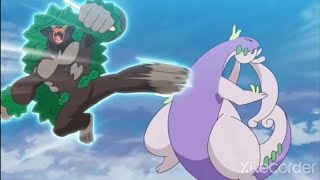 Rillaboom Vs Goodra [upl. by Nelleyram]