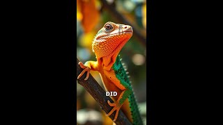 Hidden Lizard Facts That Will Amaze You animals facts shorts wildlife animalplanet [upl. by Enelrad]