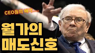 월가의 매도세가 점점 강해지는중입니다 엔비디아가 연준의 금리인하를 지연시키기 때문입니다 [upl. by Shultz]