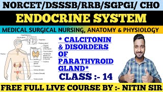 ENDOCRINE SYSTEM Medical Surgical Nursing CLASS 14FREE LIVE COURSE NORCETDSSSBRRB freeclasses [upl. by Selda]