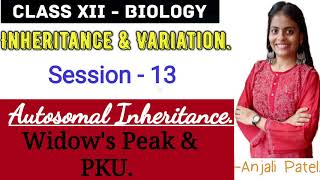 Class XII Biology  Inheritance and Variation  Autosomal Inheritance  Widows peak and PKU [upl. by Kitrak]