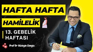 13 HAFTA GEBELİK hafta hafta gebelik gebeliğin 13haftasında hem bebekte hem annede neler oluyor [upl. by Pollack180]