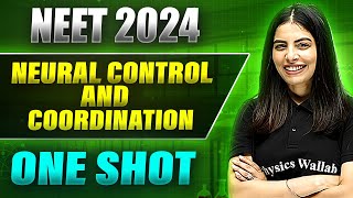 NEURAL CONTROL AND COORDINATION in 1 Shot FULL CHAPTER ConceptsPYQs  Prachand NEET [upl. by Azalea841]