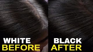 सफेद बालों को जड़ से काला करने के आसान घरेलु नुस्खे  Home Remedies to Turn Grey Hairs into Black [upl. by Landes892]