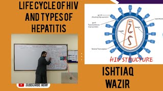 LIFE CYCLE OF HIV AND HEPATITISlecture2 [upl. by Herrmann]