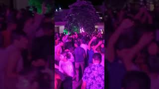 video djnight fest iiser niser cebs research umang [upl. by Dnomyad]