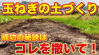 【玉ねぎ栽培】土づくりでコレを撒くだけで大きな玉ねぎができます！ [upl. by Adaline]