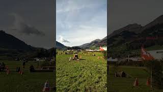 Holzrücken mit Pferden in Frutigen 🇨🇭😎💪 [upl. by Goulder]