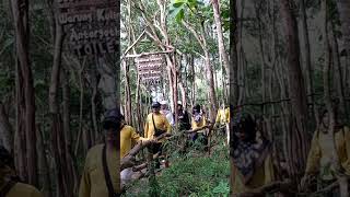 Hutan Pinus Pengger  Yogyakarta [upl. by Ttirb]