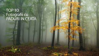 Fotografie de Peisaj Top 10 Fotografii personale cu paduri in ceata [upl. by Sirotek]