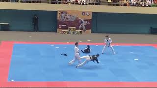 Kukkiwon Taekwondo Demonstration Performance  6 [upl. by Lednahs]