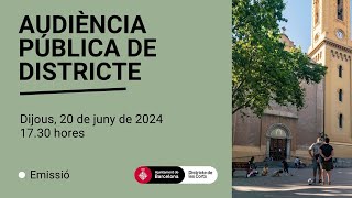 Audiència pública les Corts 20 de juny de 2024 [upl. by Fortunna]