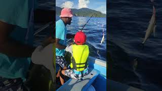 Trawling for Fish in Trinidad [upl. by Flem]