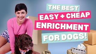 DIY Enrichment for Dogs Fun and Easy Busy Box Activity [upl. by Barcus]