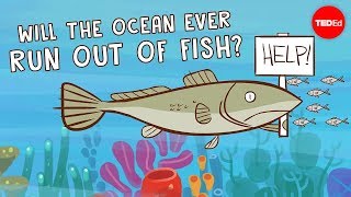 Will the ocean ever run out of fish  Ayana Elizabeth Johnson and Jennifer Jacquet [upl. by Anawal]