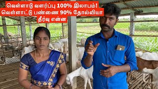 Stall fed goat farming is profitable in Tamilnadu Why goat farming is failure [upl. by Juditha]