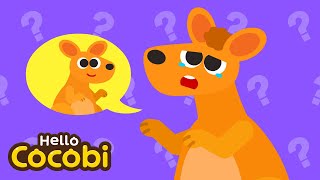 Where Is My Baby  Kangaroo Song  Animal Song for Kids  Nursery Rhymes  Hello Cocobi [upl. by Annnora]