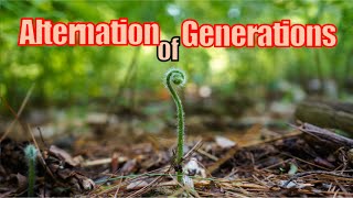 On Alternation of Generations [upl. by Lotta]