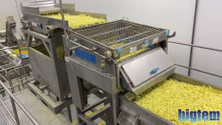 Complete Frozen French Fries Production Line [upl. by Balthazar]