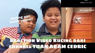 Muadz dan Muiz Reaction Video Kucing di Channel TUAN ABAM CEDRIC Kucing pun boleh puasa [upl. by Latsyrd]