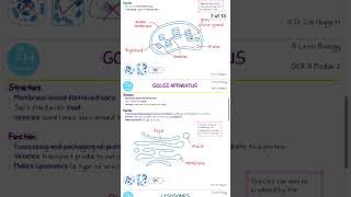 ALevel Biology Cells and Organelles Revision CardsCell biology Biology lessons Cell biology notes [upl. by Maudie251]