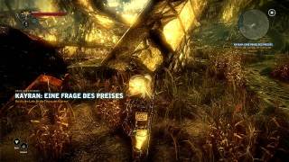 Lets Play The Witcher 2 German  Part 49  KAYRAN Quest abgeschlossen [upl. by Okwu252]