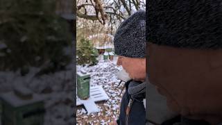 Bienen umstellen auf kurze Distanz im Winter nach 8 Wochen Winterwetter bauernprotest [upl. by Arrekahs]