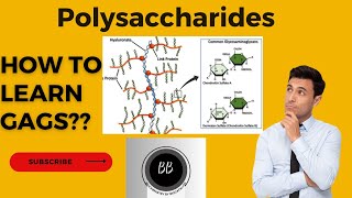 Polysaccharides byBiochemistrybyBiocatalyst [upl. by Oyek541]