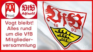 Vogt bleibt Alles rund um die VfB Mitgliederversammlung  VfB Aktuell [upl. by Senhauser]