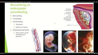 Klas 3 Mavo Thema 2 Voortplanting en Ontwikkeling basisstof 4 Bevruchting en Embryonale ontwikkeling [upl. by Aerdnat]