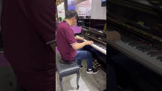 Cademepiano grand piano is popular in Shanghai show [upl. by Valora195]