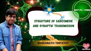 STRUCTURE OF SARCOMERE and SYNAPTIC TRANSMISSION  USMLENEETPG  NM Physiology  MEDVERSE [upl. by Nart]