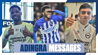 Brighton Playerss Messages To AFCON Winner Adingra 🏆🇨🇮 [upl. by Silrac]