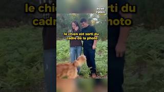 Ce mari demande sa femme en mariage avec la complicité de son chien [upl. by Emina396]