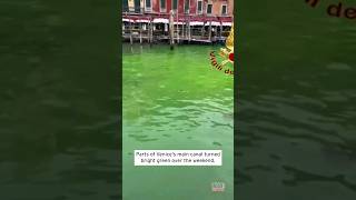 Why Did Venice Canal Water Turn Bright Green shorts [upl. by Waylan470]