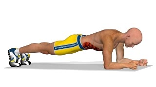 Exercitii abdomen Plank [upl. by Enilec]