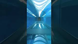 About 200ft Deep Pool in Dubai  facts shortvideo shorts [upl. by Leakcim]