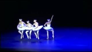 The Four Swans by Itzik Galili  Dortmund Ballet [upl. by Noirda]