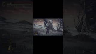 I TRIED MAKING IT A FAIR FIGHT eldenring eldenringgameplay shorts [upl. by Buskus709]