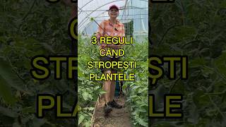 Trei reguli la stropirea plantelor shorts stropire [upl. by Anneres7]