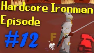 Hardcore Ironman Progress 12  OP diary rewards [upl. by Enaitsirhc]